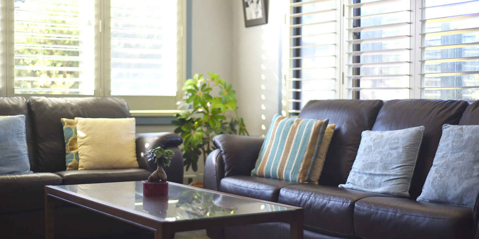 11 Wattle Street Blacktown